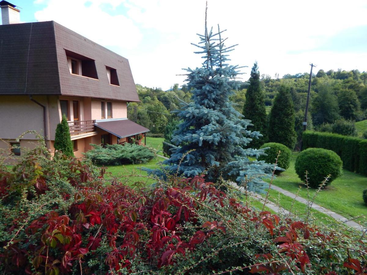 Ubytovanie Vazka Banská Štiavnica 外观 照片